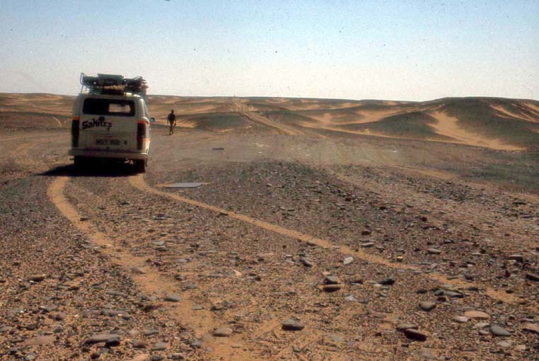 alg81-0440