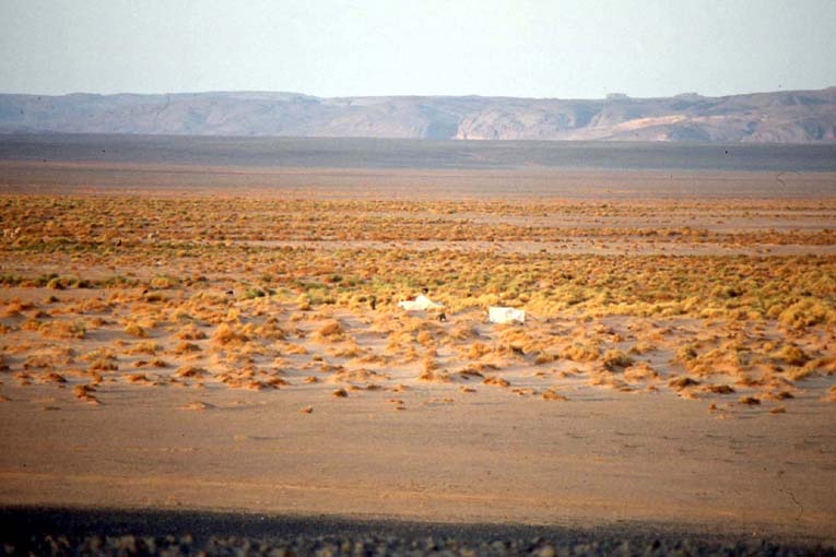 alg81-0530