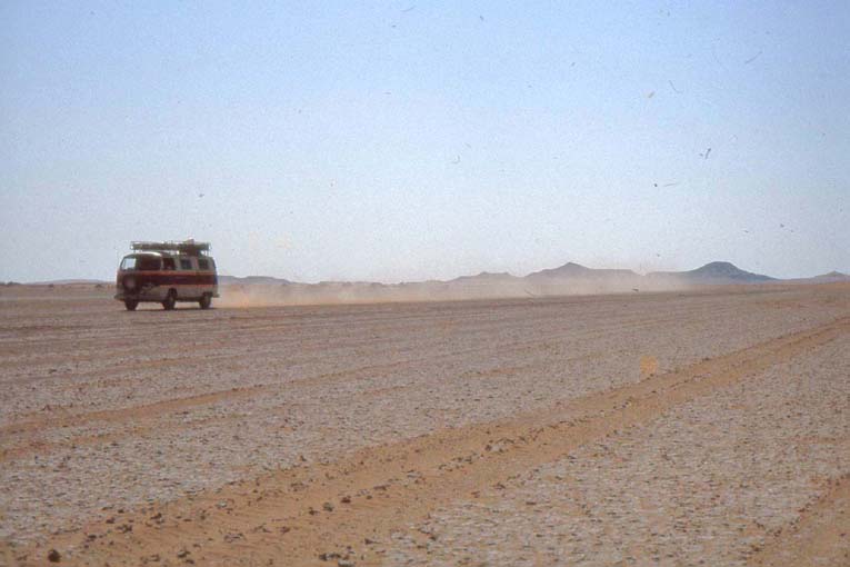 alg81-0600