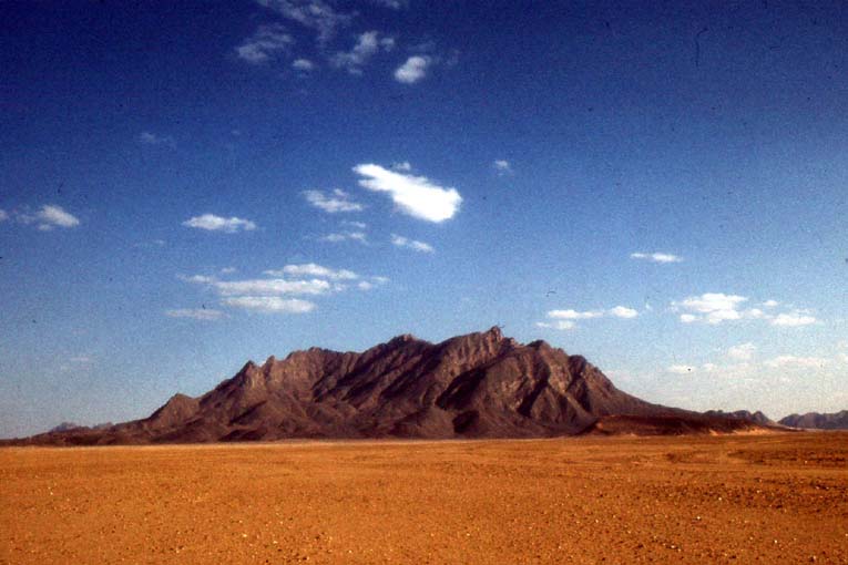 alg81-1150