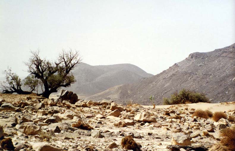 alg90-340