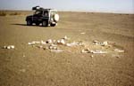 alg90-300