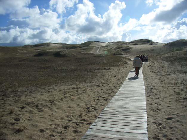 nehrung-duene1-R0011732