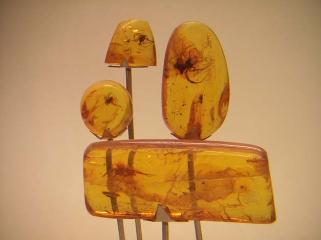 palanga-bernstein2-IMG_0298