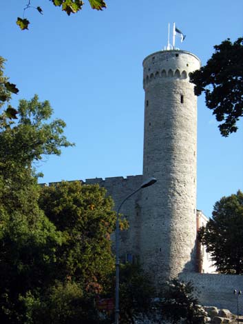 tal-lang-heinrich-r0011959