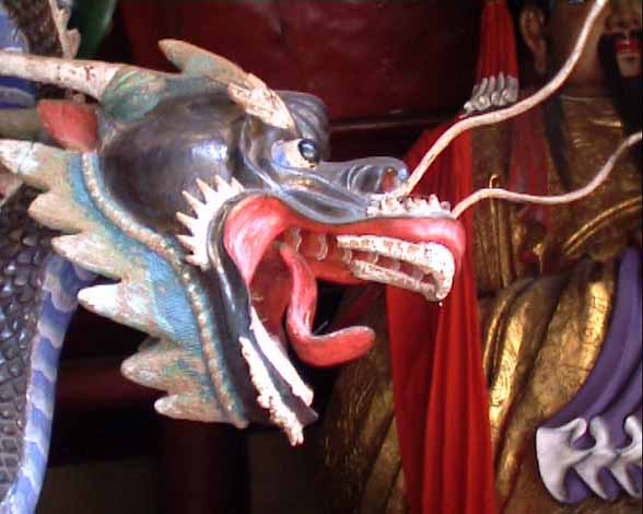fengdu-drachenkopf