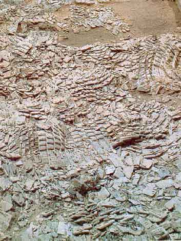 tonkrieger-schuppen1.jpg