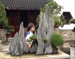 suzhou-chr-bonsai