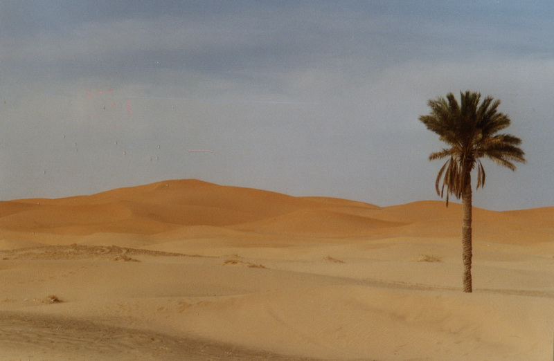 erg-chebbi.jpg