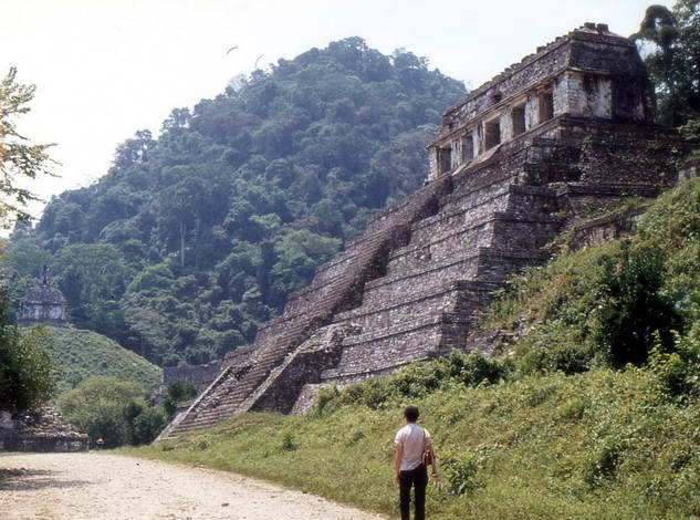 mex79b260