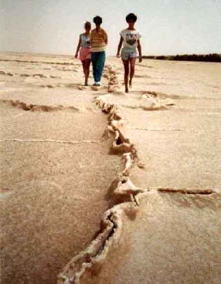 chott-el-djerid.jpg