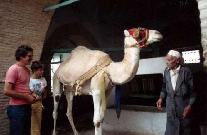 kairouan-bir-batouta.jpg