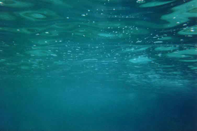 wasseroberflaeche.jpg
