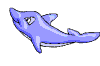 dolphin2.gif
